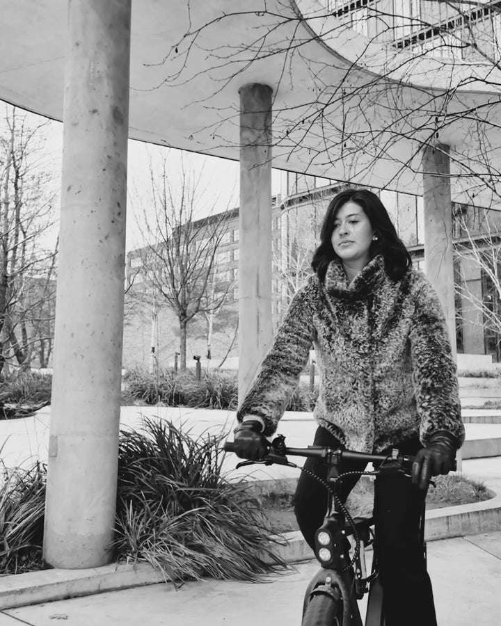 Irbid, 63 cm. - kraga - la coon lamb - konur - dökkbrún