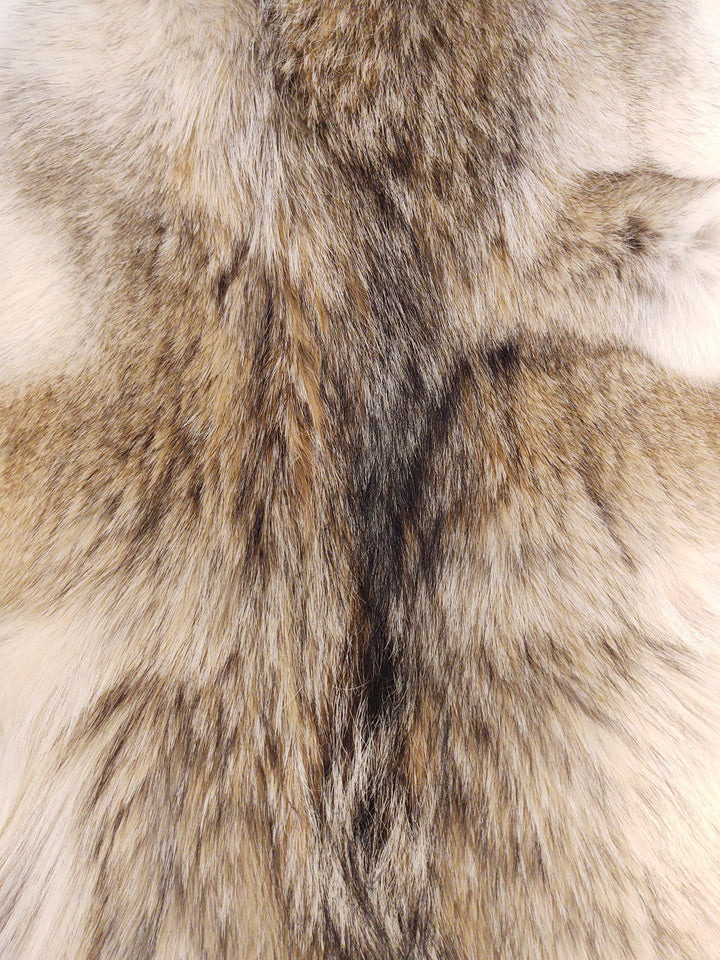 Coyote  - Dressed Fur Skin - Fur | STAMPE PELS