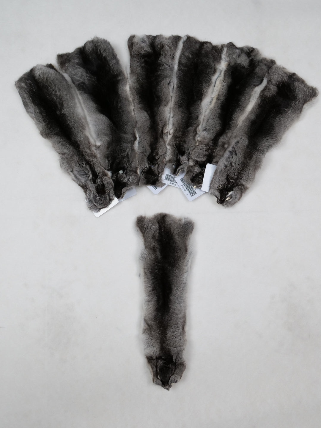 Chinchilla Dressed Fur Skin Fur – Stampe Denmark