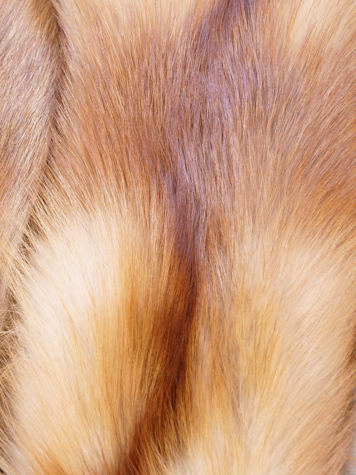 Red Fox - Klädd Pälsskinn - Päls