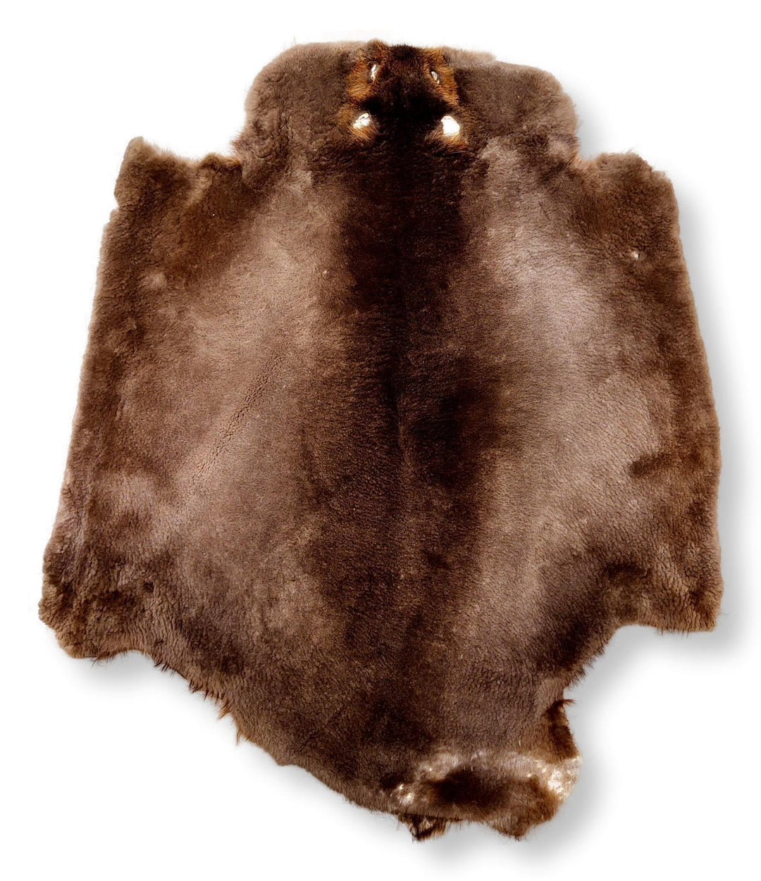 Beaver Sheared Brown - Dressed Fur Skin - Fur