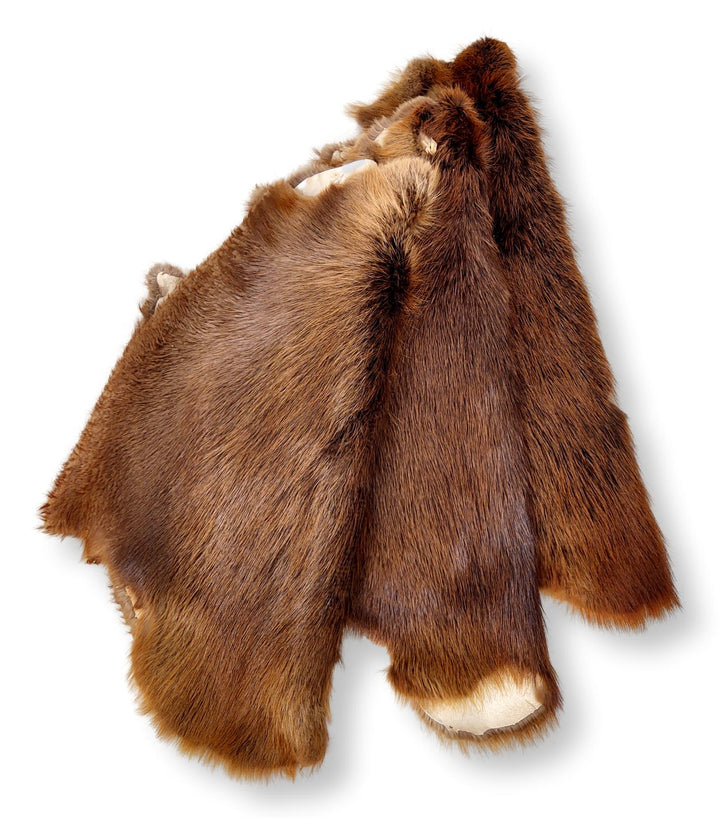 Beaver Brown - Dressed Fur Skin - Fur