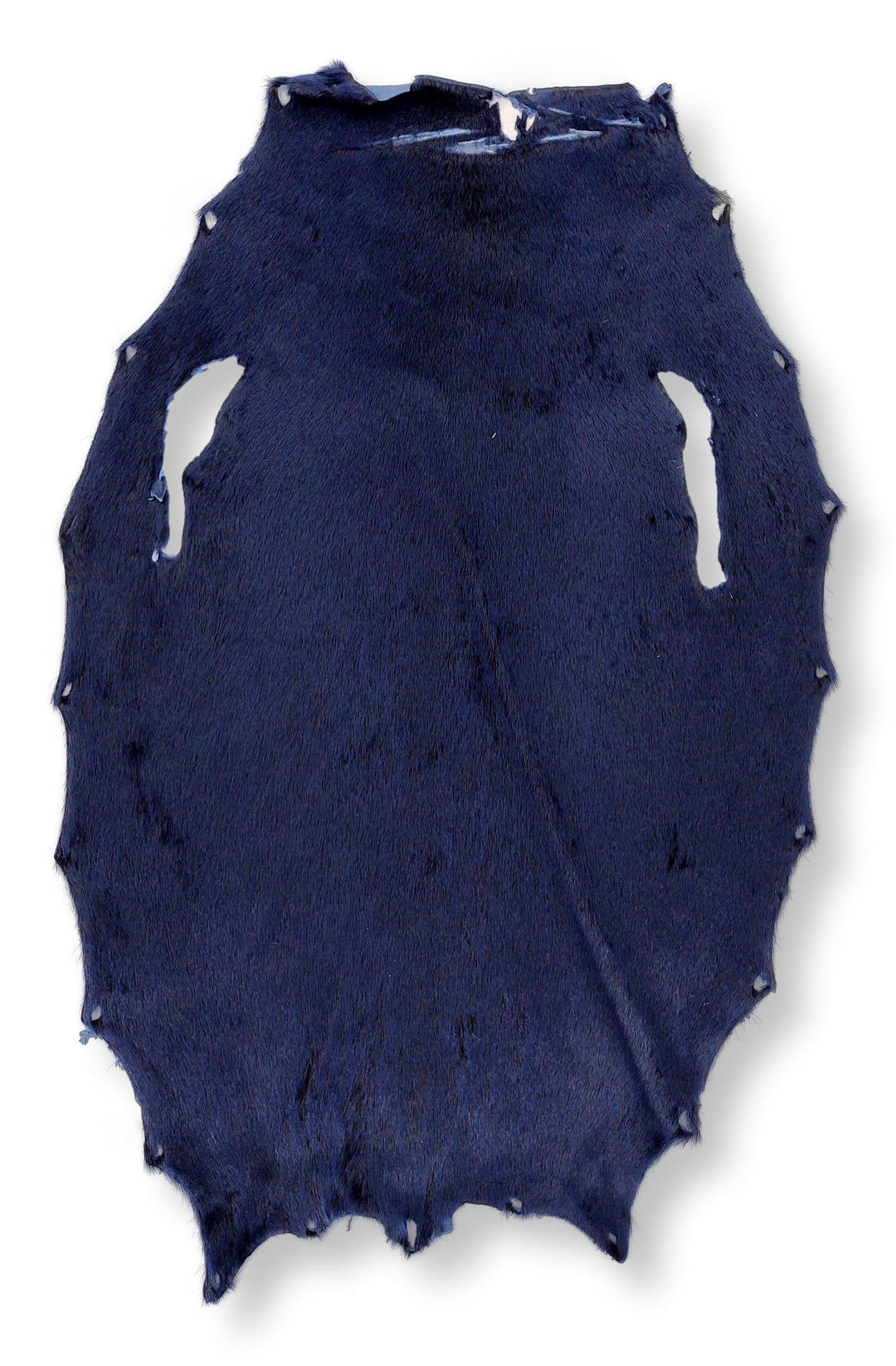 Phoque annelé - Bleu - Peau de fourrure habillée