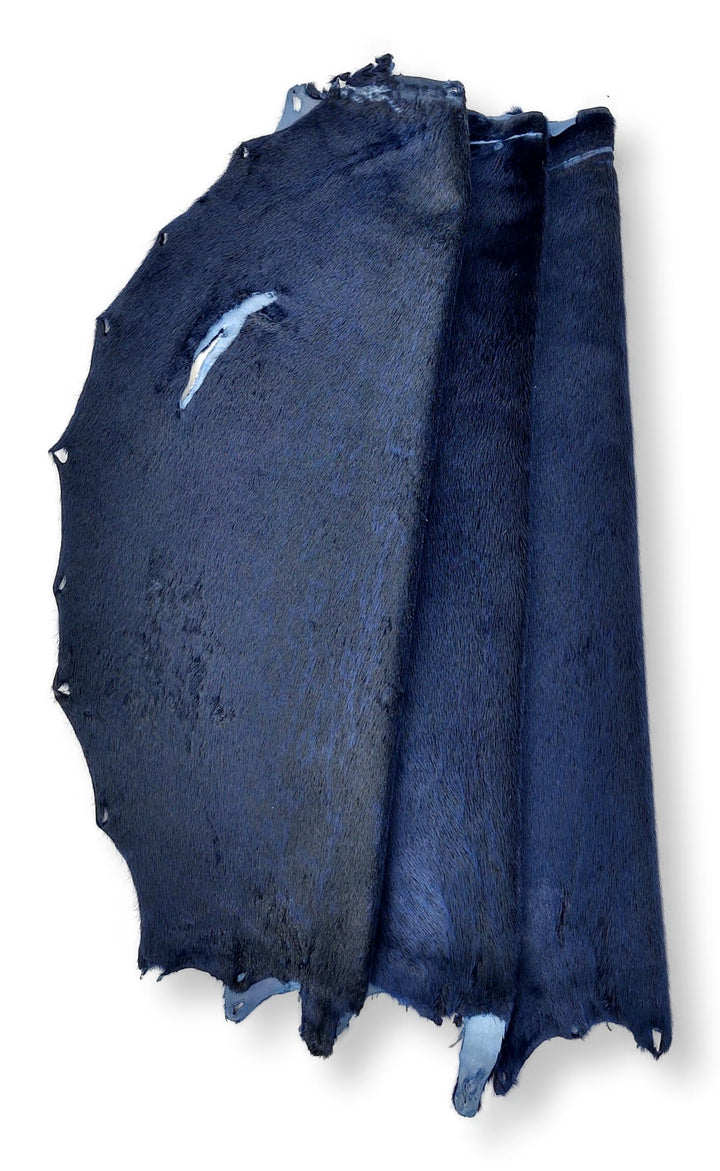 Phoque annelé - Bleu - Peau de fourrure habillée