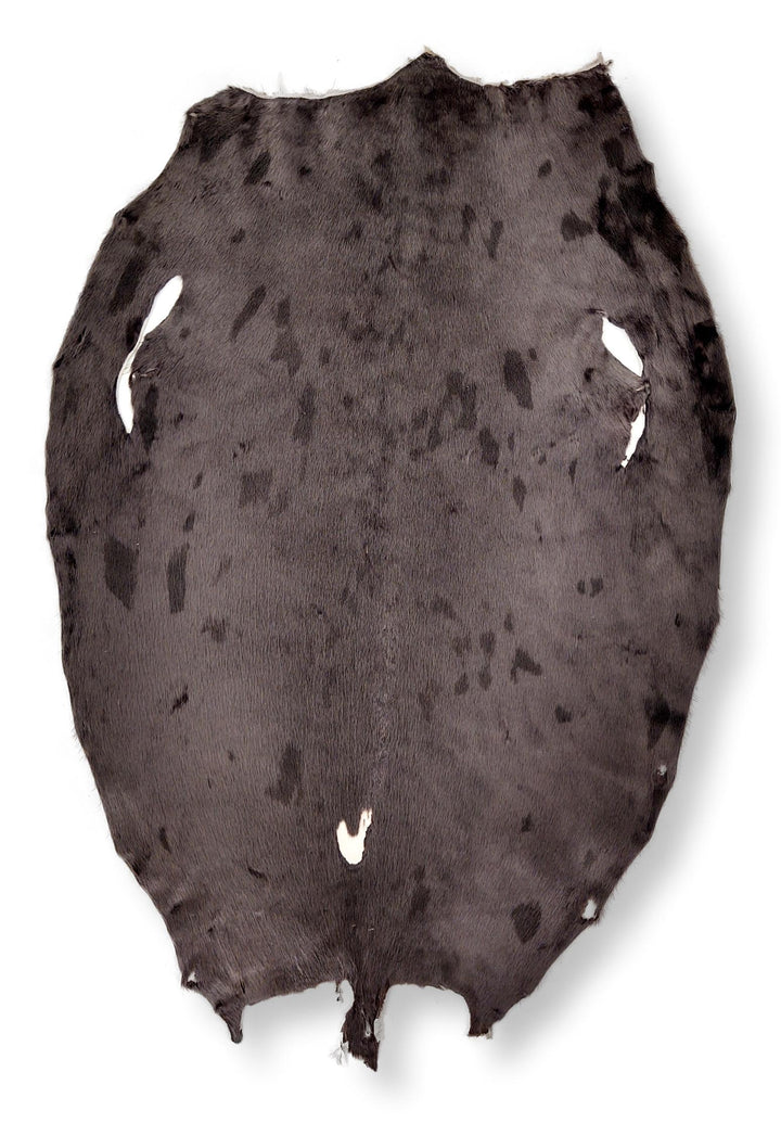 Phoque du Groenland Cacao - Peau de fourrure habillée - Fourrure