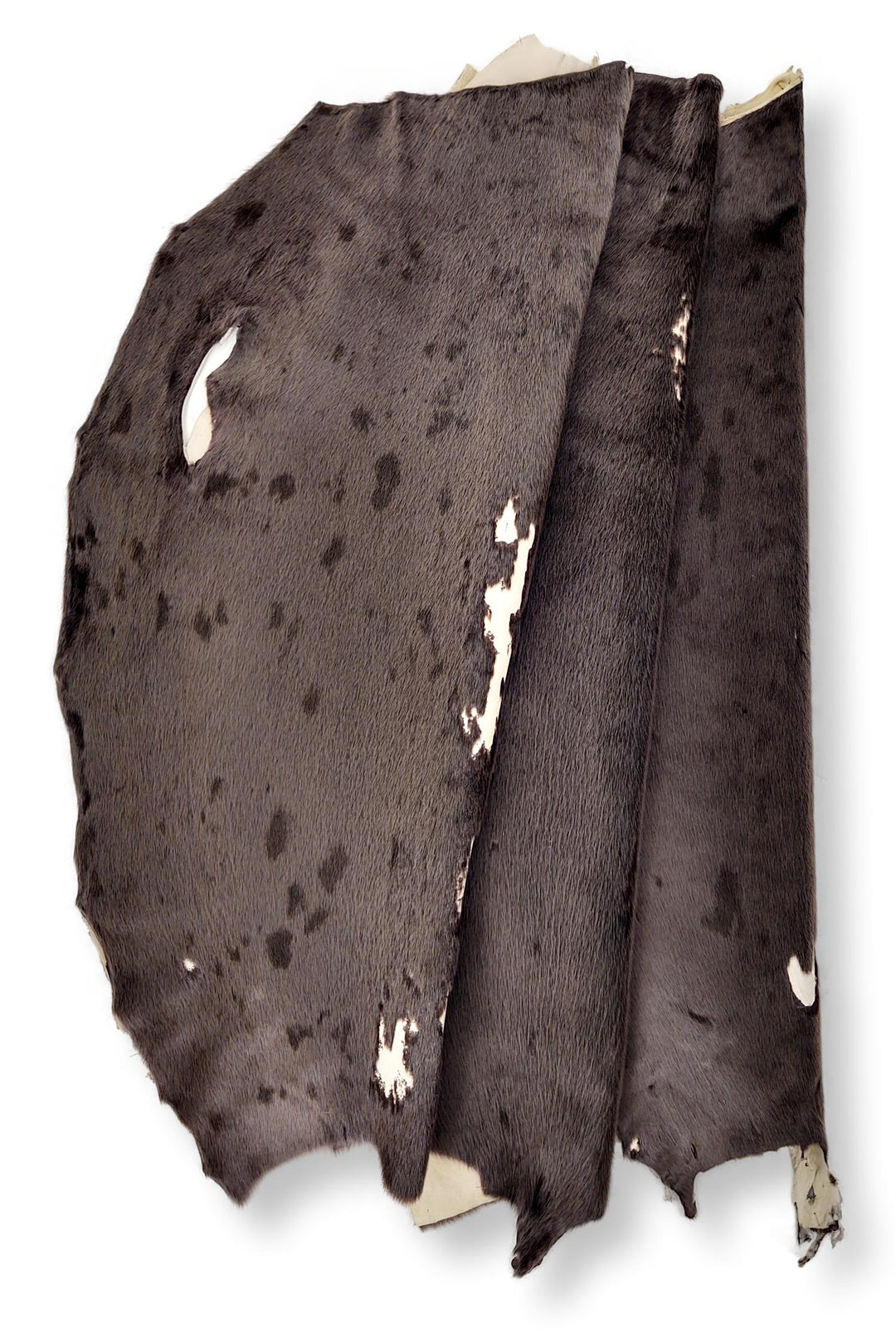 Phoque du Groenland Cacao - Peau de fourrure habillée - Fourrure